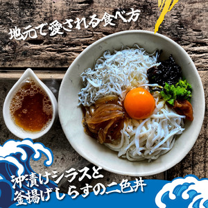 釜揚げ しらす 約2kg  【 しらす 】
