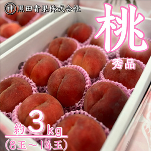 【定期便3回】青果仲買人が選ぶ！山形旬のフルーツ3選！[さくらんぼ・白桃・シャインマスカット]【令和8年産先行予約】FS24-598 くだもの 果物 フルーツ 山形 山形県 山形市 2026年産