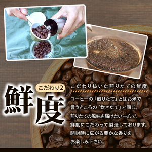 コーヒー豆 2種 計200g インドネシア ケニア  ＼ コーヒー ／