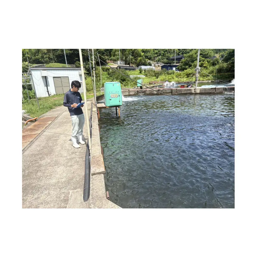 鳥取県産 活〆 境港 サーモン 定塩 塩鮭 切り身 1/4カット 真空パック×4 合計約1.5kg 鮭 鮭 サーモン