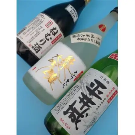 【藤岡地酒 松屋D】手造りとうせん純米大吟醸+平井城純米吟醸酒+長期熟成酒ねむり酒3本セット_酒・アルコール 純米大吟醸 日本酒 sake サケ  酒・アルコール 純米吟醸 日本酒 sake サケ  酒・アルコール 大吟醸 日本酒 sake サケ_【1390247】