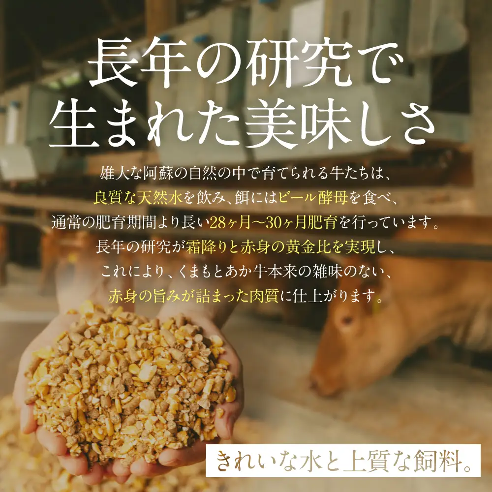 【GI認証】くまもとあか牛ザブトン 120g×4枚  牛肉 あか牛 ステーキ 赤身 希少部位 霜降り