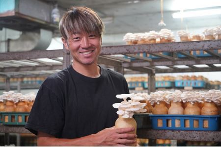 3701 長野県山形村産 白ヒラタケ「信州プルロット」