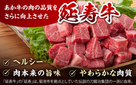 【3回定期便】熊本県産 延寿牛 あか牛 モモ サイコロ ステーキ約 500g【有限会社 九州食肉産業】[ZDQ096]