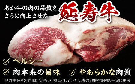 【3回定期便】熊本県産 延寿牛 あか牛 モモ ブロック 約 500g【有限会社 九州食肉産業】[ZDQ099]