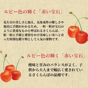 ＜先行予約＞さくらんぼ 佐藤錦 秀品 L 1kg 【2026年6月下旬頃発送】 山形県 朝日町産 農産物 フルーツ 山形産 バラ詰め サクランボ 高級 果物 初夏