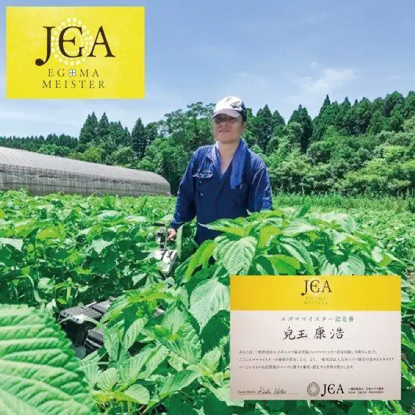 【毎日の健康に】えごまマイスターがつくる『国産えごま茶』 ノンカフェイン＜22-2a＞