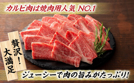 【6回定期便】九州産 藤彩牛 バラ カルビ 焼肉用 1650 [ZDT058]