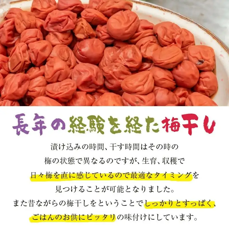 『南高梅』昔ながらの酸っぱい梅干し 180g×5パック 合計900g 小分け＜18-1a＞