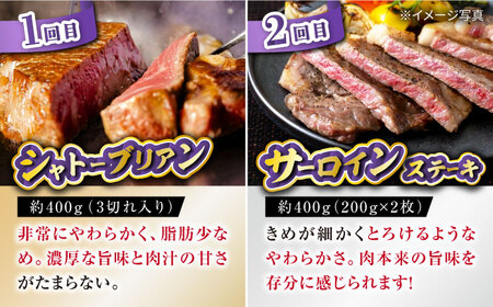 【6回定期便】長崎和牛お楽しみセット 金コース（シャトーブリアン・サーロインステーキ・長崎和牛入りハンバーグ・焼き肉用 カルビ・ロース・モモ） / 長崎和牛 和牛 牛肉 肉 / 大村市 / かとりストアー[ACAN066]