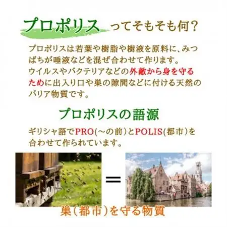 プロポリスエキス　12cc_惣菜・加工品   _【1483808】