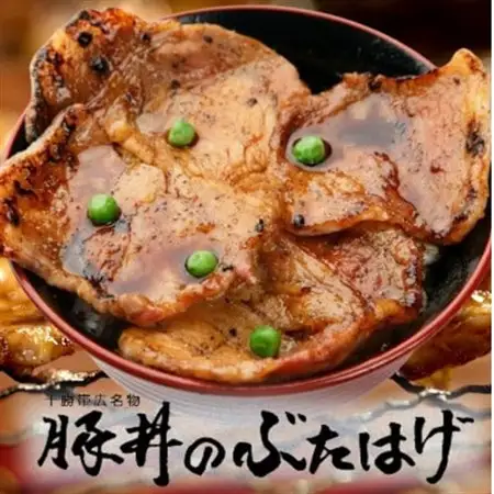 豚丼のぶたはげ「極撰豚丼セット10人前」_肉  豚肉   調味料 こしょう  コショウ 胡椒  調味料   _【配送不可地域：離島】【1482250】