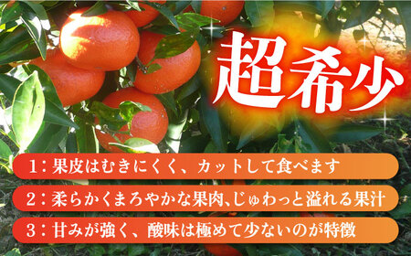 【2026年12月先行予約】【家庭用】みはや 約3kg[ECL004] 長崎 長崎みかん