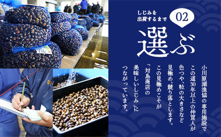 砂抜き済みで手間いらず！冷凍・小川原湖産大和しじみ BIG 3kg（250g×12袋）【02408-0075】