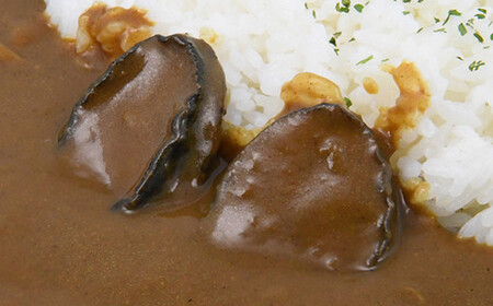 北海道福島町×函館五島軒 北海道福島町アワビカレー １０個セット FKB038