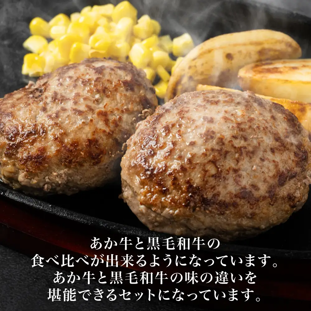 食べ比べハンバーグセット（あか牛ハンバーグ＆黒毛和牛ハンバーグ）