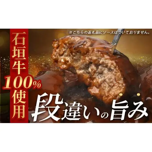 石垣牛100％ ハンバーグ　(100ｇ×10個)【化粧箱入り】　  ID-1