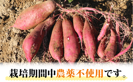 訳あり さつまいも 紅はるか 10kg 大森城山麓園 先行予約 愛媛県産 訳アリ 訳あり品 訳有り わけあり さつま芋 サツマイモ 野菜 やさい 栽培期間中 農薬 不使用 根菜 イモ 芋 産地直送 農家直送 数量限定 国産 愛媛 宇和島 F010-181002