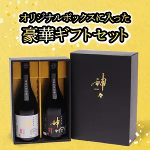 神々 芋焼酎20度・25度　2本セット　温泉水で作ったお酒 H03005