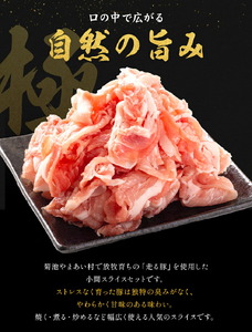 菊池やまあいの豚小間スライス 2kg 《90日以内に出荷予定》(土日祝除く)》1パック200g 豚肉 豚小間 スライス済み 小分け 熊本県産 九州産 国産 冷凍 送料無料