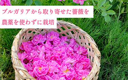 ダマスクローズウォーター 250mL 山形県村山市産 薔薇 バラ bj-rwxxx250