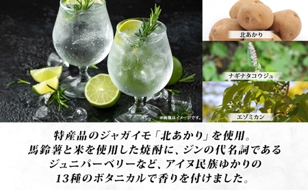 北海道生まれのクラフトジン AQUAVIT≒GIN 45度 200ml×1本 シリアルナンバー入り ジン お酒 焼酎 ボタニカル 芋 馬鈴薯 米 TWSC アイヌ SPEAKEZ 二世古酒造 送料無料 北海道 倶知安町 洋酒 リキュール類 