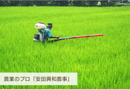 【令和7年産】阿賀野市産コシヒカリ 「風神の舞」10kg（5kg×2袋） 白米 精米 新潟県 米 こめ コメ 1W01028