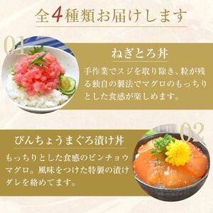 漬け丼 ねぎとろ丼 4種 計10食  (まぐろ漬け かつお漬け びんちょうまぐろ ネギトロ）海鮮丼