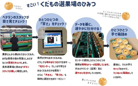 JA05　梨 幸水 約5kg／2026年8月中旬～9月上旬頃 配送予定 // 贈答 センサー選別 糖度センサー 梨 なし ナシ 果物 フルーツ ギフト 幸水 太鼓判 優糖生