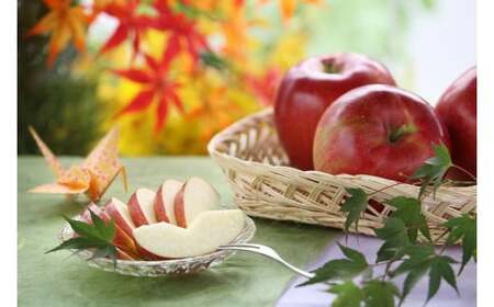 JA13　りんご シナノスイート 約5kg ／ 2026年10月中旬ごろ配送予定 // 長野県 贈答 南信州産 長野県オリジナル品種 甘い 新鮮 スイート リンゴ 厳選 りんご三兄弟