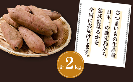 焼き芋 さつまいも 紅はるか 生芋  2kg 【畑の金貨】 K181-004