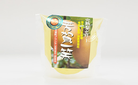 完熟 梨 ゼリー 1箱15個入【芳賀一笑】| 梨 ゼリー なし フルーツ 果物 ギフト 贈答◇