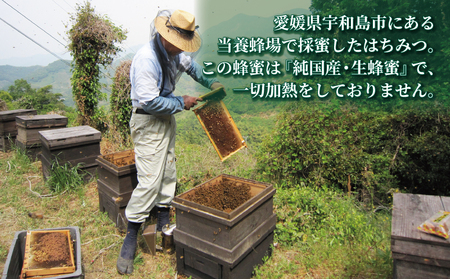 百花蜜 500g ギフト箱入 元気や 非加熱 はちみつ 国産はちみつ 百花蜂蜜 純粋はちみつ 生はちみつ 生蜂蜜 蜂蜜 ハニー ギフト プレゼント 贈答用 数量限定 産地直送 国産 愛媛 宇和島 F014-176004