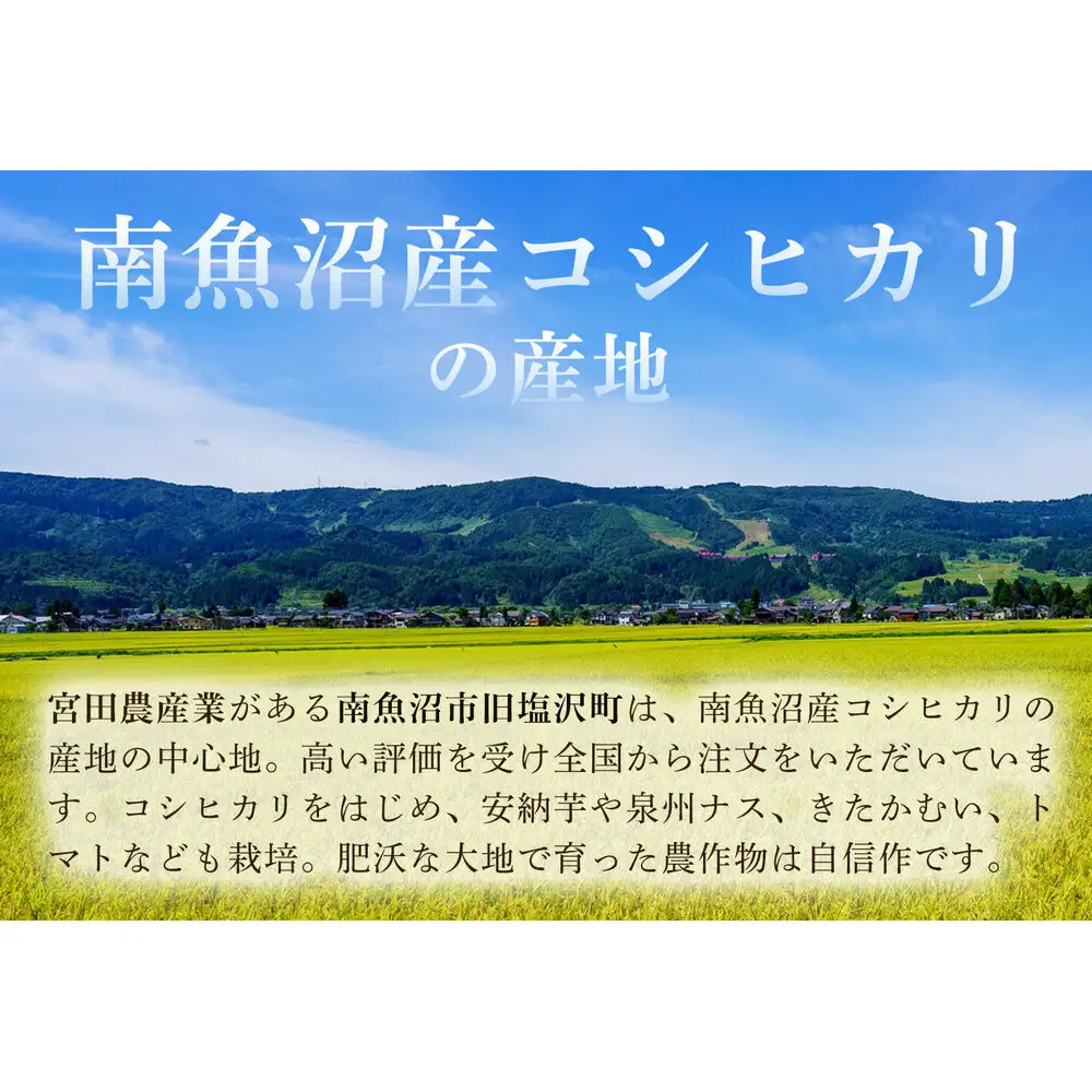 【令和7年産】【定期便6ヶ月】南魚沼産こしひかり　みやた米5kg【定期便 銘柄米 ブランド米 精米 こしひかり コシヒカリ 魚沼産 新潟米 産地直送 お米 米 こめ コメ ご飯 御飯 ごはん】