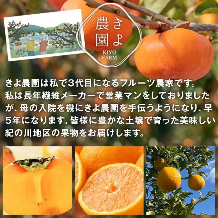 不知火 希少な樹上完熟！ 秀品大玉 6個入 (約2kg)　［2027年2月末頃から3月末頃まで発送］［KT2］