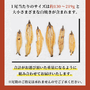 【訳あり】鹿児島県大隅産！楠田の極うなぎ白焼き 有頭1kg（約5尾～7尾） うなぎ 鰻 ウナギ 国産 鹿児島県産 九州産 白焼き 冷凍 うな重 ひつまぶし c6-077