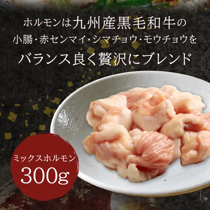 九州産黒毛和牛もつ鍋（醤油）2人前【B3-078】