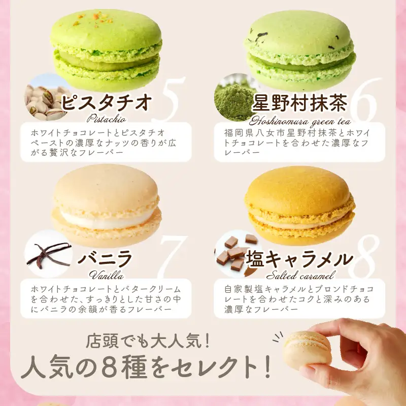 エスポワールマカロンセット【B3-027】