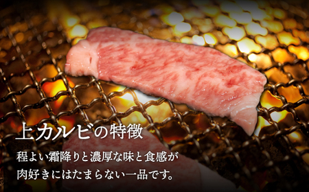 【A4/A5ランク黒毛和牛】びらとり和牛上カルビ焼500ｇ BRTB018