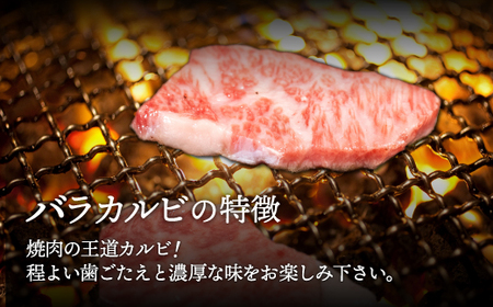 【A4/A5ランク黒毛和牛】びらとり和牛バラカルビ焼500ｇ BRTB020