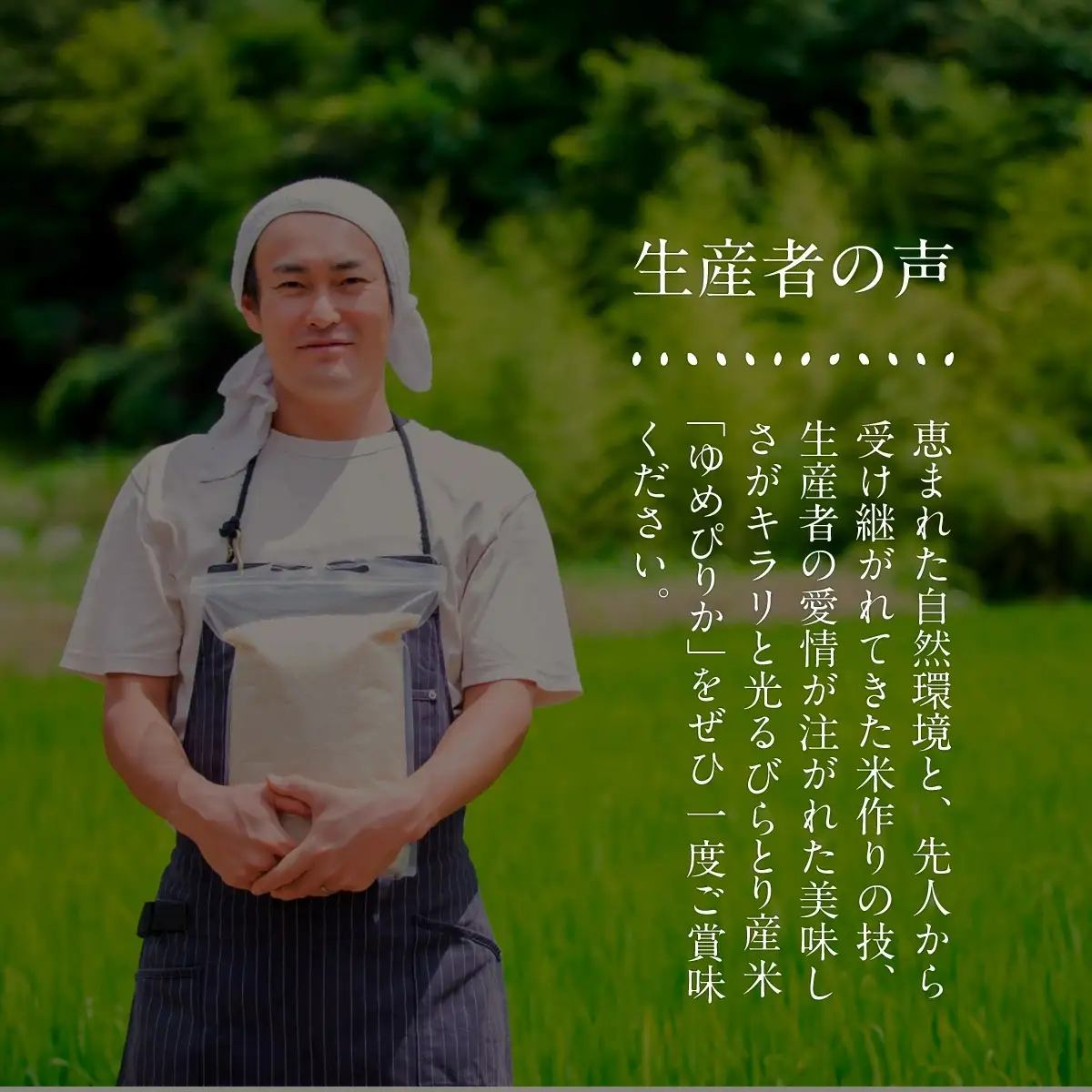 【令和7年産新米】【北海道最上級ブランド米】「ゆめぴりか」10kg（5kg×2） BRTH009