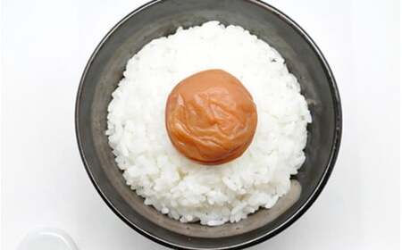 岡畑の白干梅 500g 【塩分20-23％】 / 梅干し 梅干 紀州南高梅 南高梅 梅 和歌山 田辺 白干し 白干 減塩 塩分20‐23％ 塩分控えめ ご飯のお供 国産 しょっぱい 昔ながら 焼酎 お湯割り 【okh013】