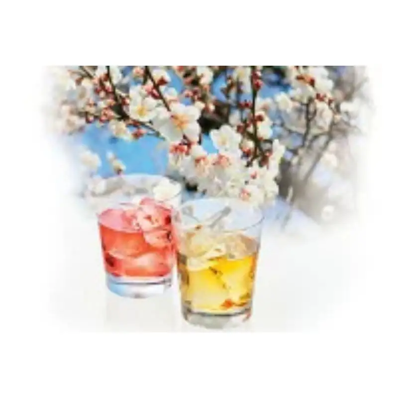 かみはやさんの梅酒 【紅】 720ml アルコール度数11％ / 梅 うめ 梅酒 酒 紀州南高梅 南高梅 和歌山 紀州産 完熟梅 本格梅酒 ギフト プレゼント お土産 手土産 贈答 お歳暮 リキュール 【okh022】