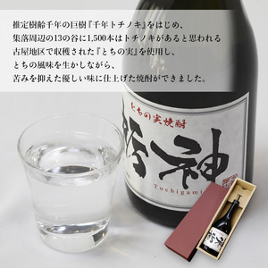 焼酎 限定生産 とちの実を使った焼酎「栃神」720ml×2本 焼酎 ギフト焼酎 焼酎 京都の焼酎