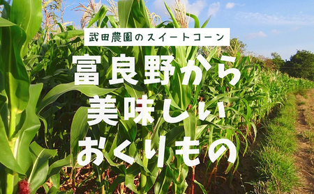 2026年夏発送 ［武田農園とれたて直送］スイートコーン わくわくコーン 2L 20本 みずみずしく抜群にあまい！北海道 富良野産 (とうもろこし 野菜 新鮮 とうきび 甘い 産地直送 先行予約 限定)