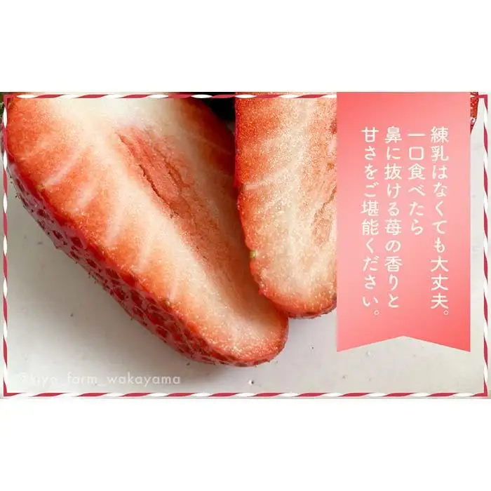 特大まりひめイチゴ 朝摘 6個～11個入×2パック［2027年1月中旬頃より発送］［先行予約］［KT3］