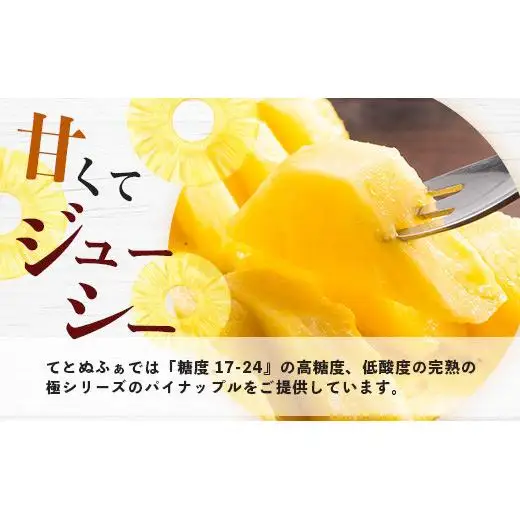 パイナップル 【予約受付】完熟の極 石垣島産ジュワリーパイン 　TF-16-1_R8