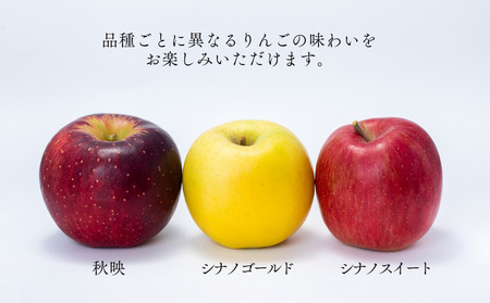 MW14 信州産 林檎ジュース3種セット （秋映/シナノスイート/シナノゴールド 500ml×3本）// 長野県 南信州 国産 りんご リンゴ ストレートジュース 果汁100％ 保存料不使用