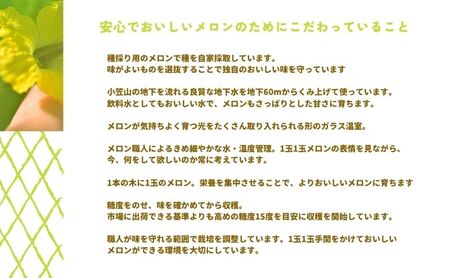 【お食事券】2名様分 農家カフェで味わうメロンパフェとメロン紅茶セット チケット