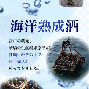 華鳩 海洋熟成酒 瀬戸の龍宮 生もと火入れ純米原酒 清酒 お酒 ぬる燗 アルコール 常温保存 お取り寄せ ギフト 贈答 生もと 送料無料 広島県 呉市 ku157-001-r